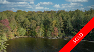 Muskoka  Water front lot for sale: Build your dream cottage    (Listed 2020-10-06)